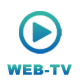 Web-TV