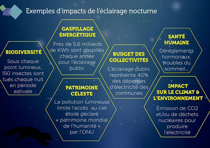 impacts de l'éclairage nocturne